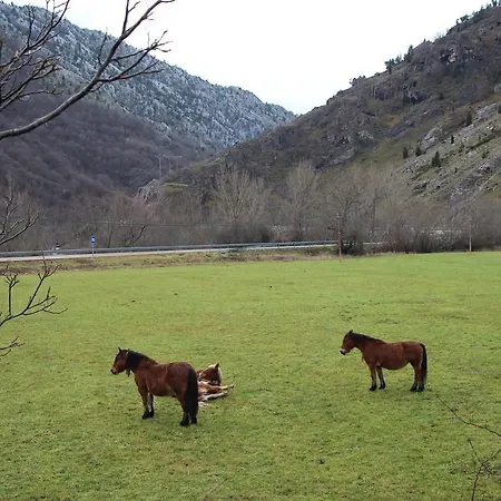 Guest house Moto-rural 