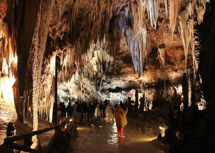 Casa de hóspedes Moto-rural 
