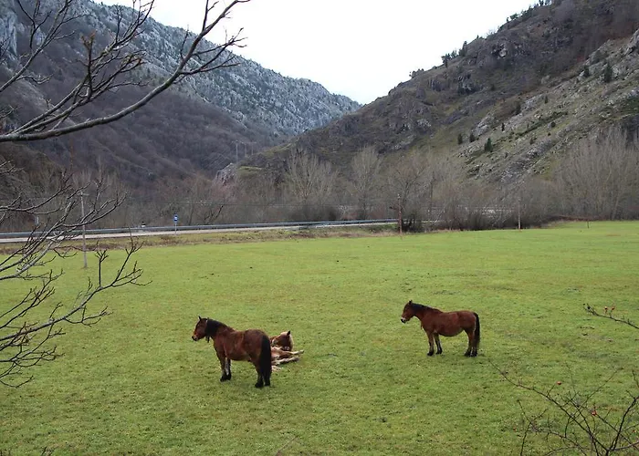 Pensionat Moto-rural 