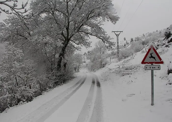 Pensionat Moto-rural 
